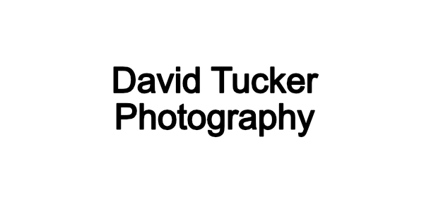 David Tucker Photography David Tucker Photography